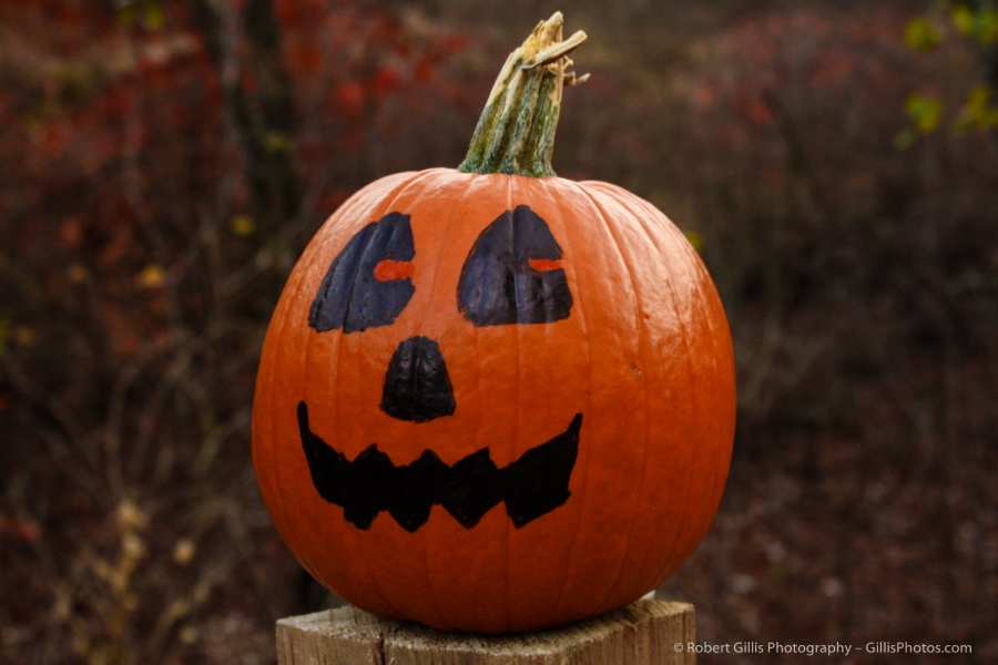 09 JackOLantern - Painted