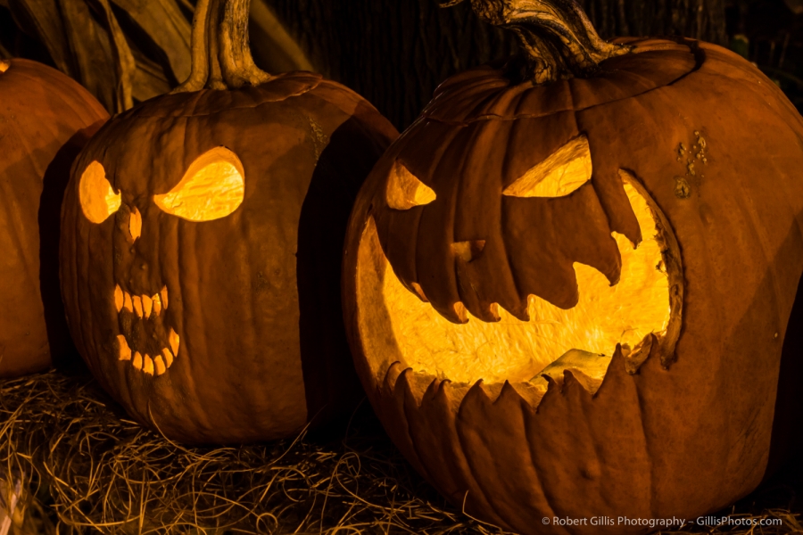 10 JackOLantern - Ogunquit - Anchorage
