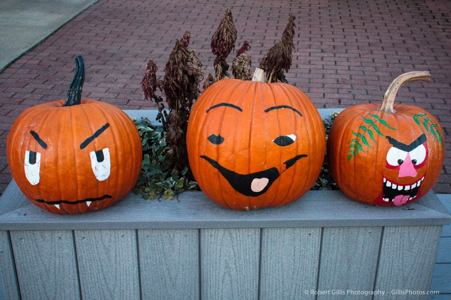 11 JackOLantern - Perkins Cove - Painted
