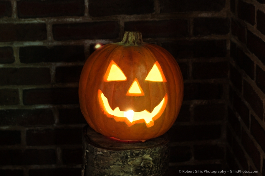 12 JackOLantern - Seabrook NH Rest Area