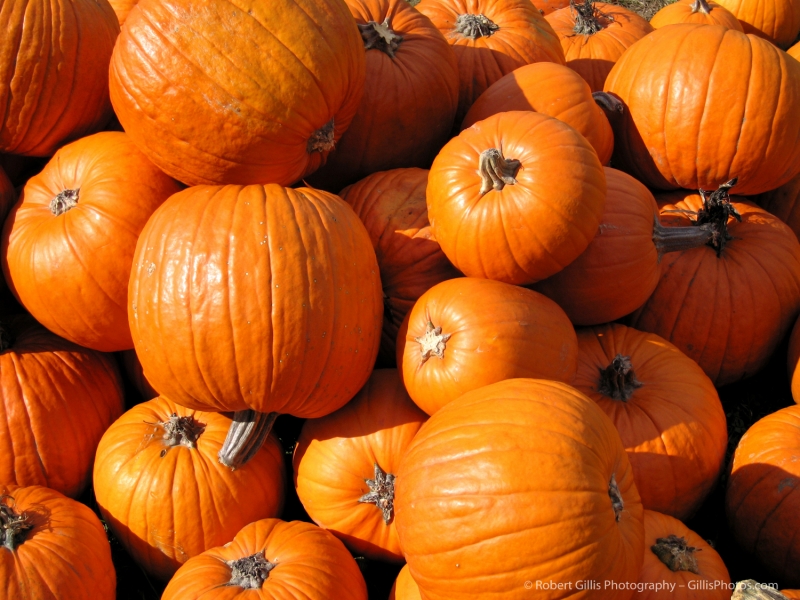 09 Pumpkins