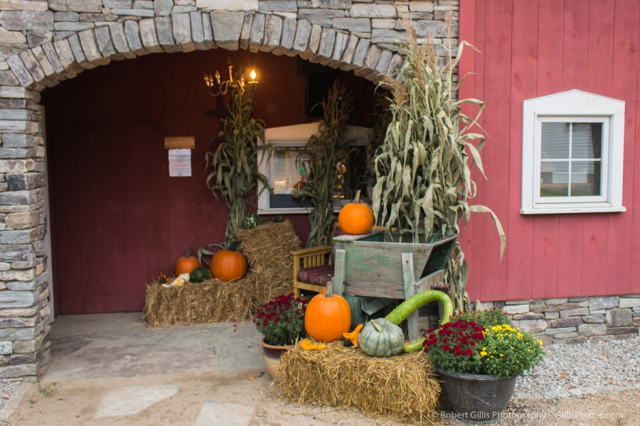 10 Pumpkins - Glen