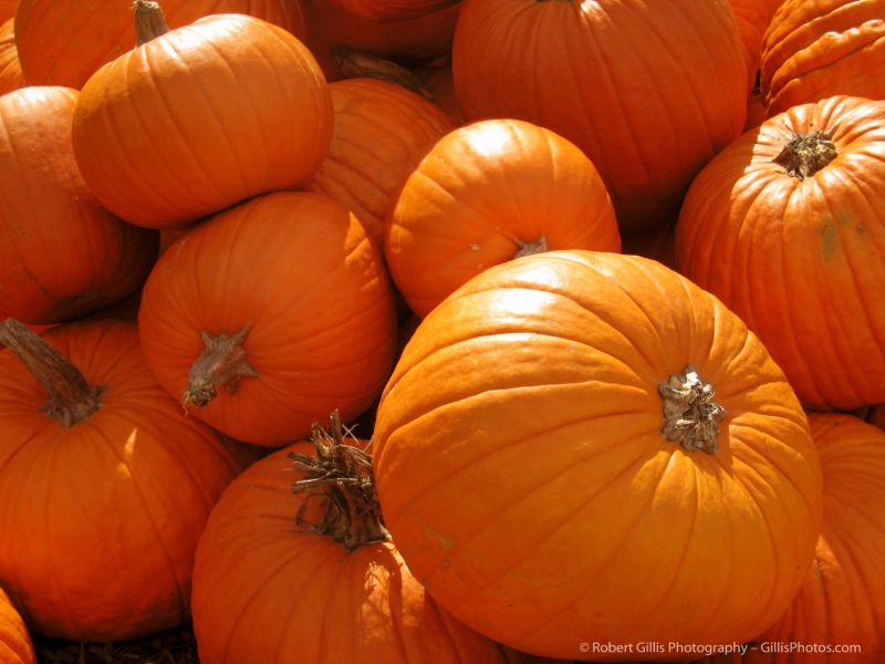 14 Pumpkins