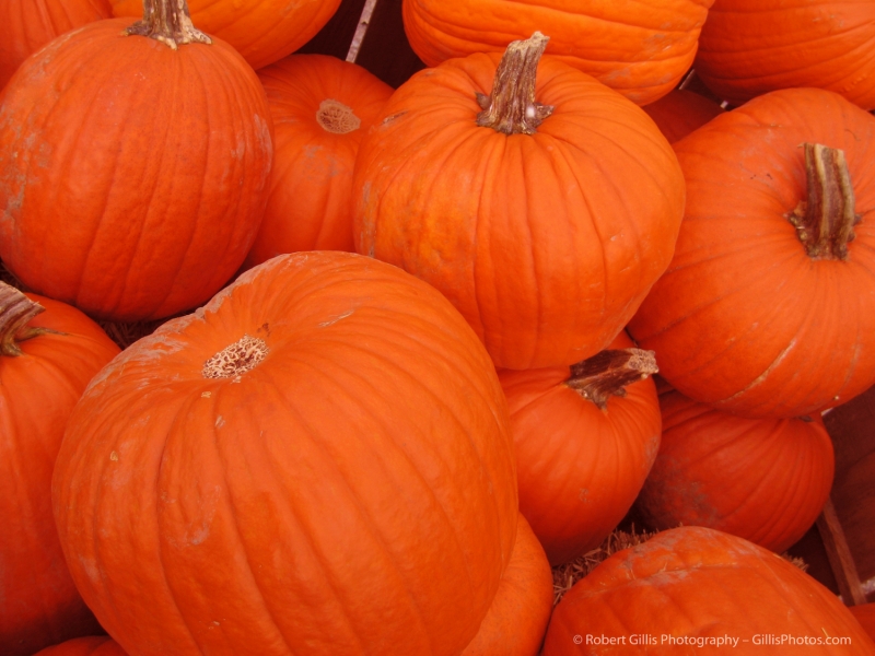 15 Pumpkins