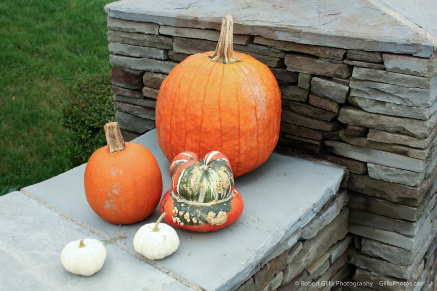 23 - Pumpkins - Ogunquit - Meadomere