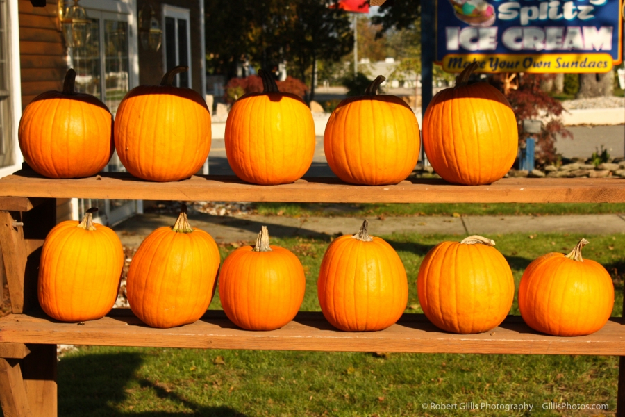 25 Pumpkins - Glen NH