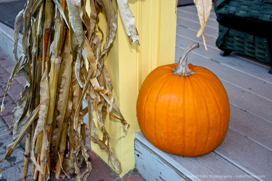 29 Pumpkin - Zebs Front Porch North Conway