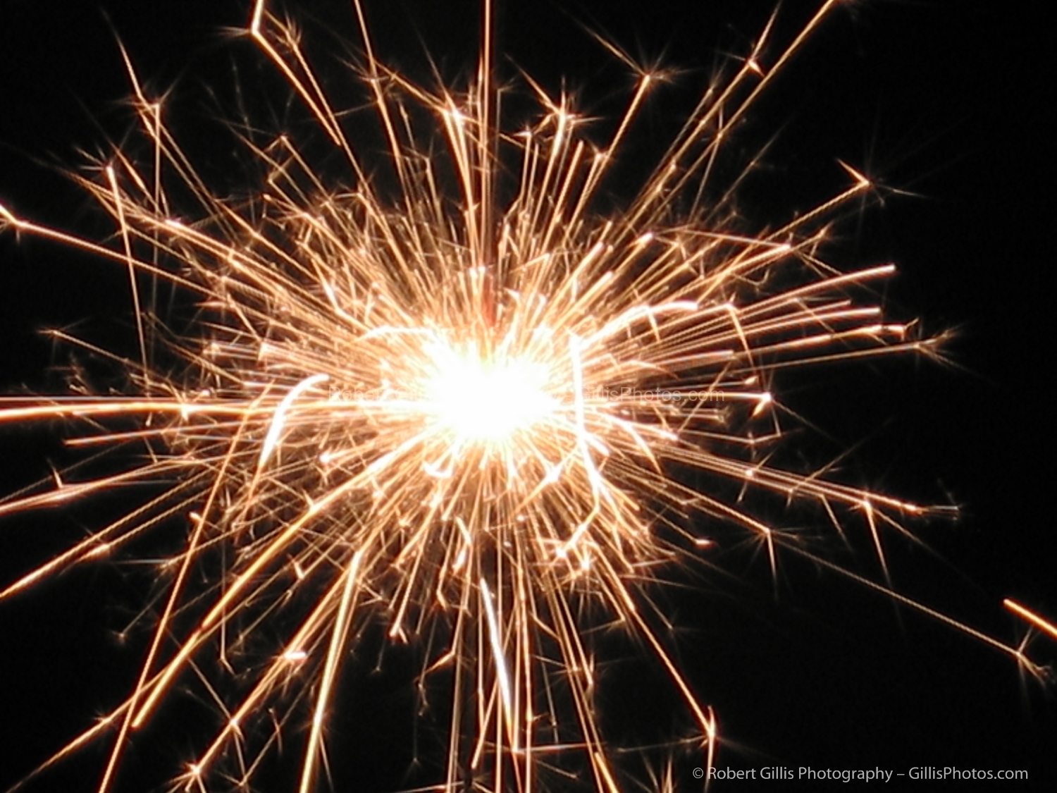 Holiday Sparklers Robert Gillis New England Photography