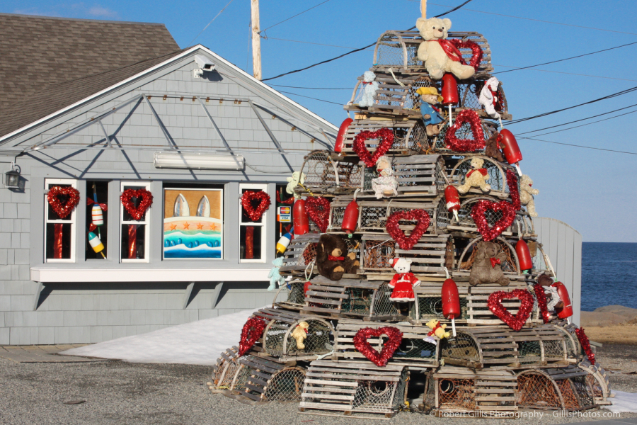 051 - York - Fox Lobster House - Valentines Day Tree
