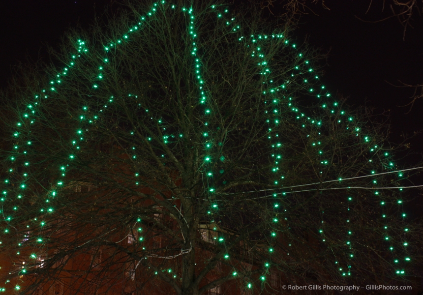 02 Boston Common Christmas 2010