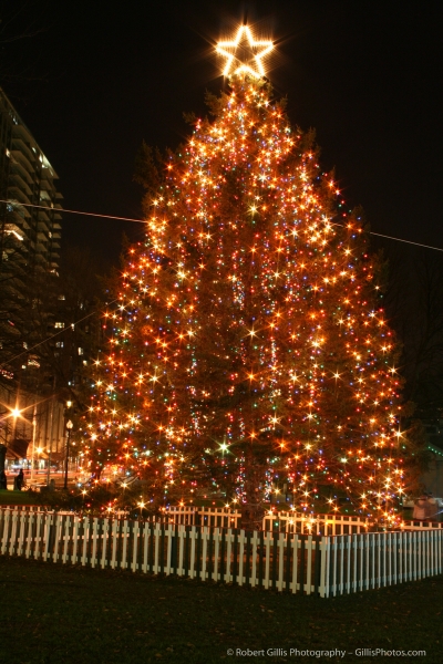 14 Boston Common Christmas 2008