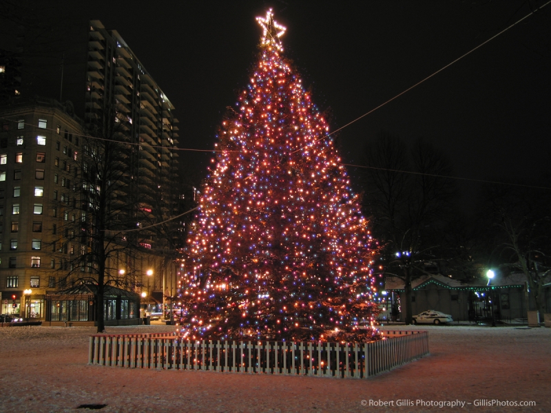 15 Boston Common Christmas 2005