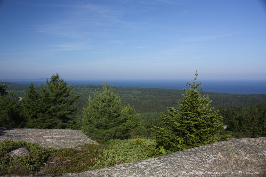 13 Acadia - View from Day Mountain