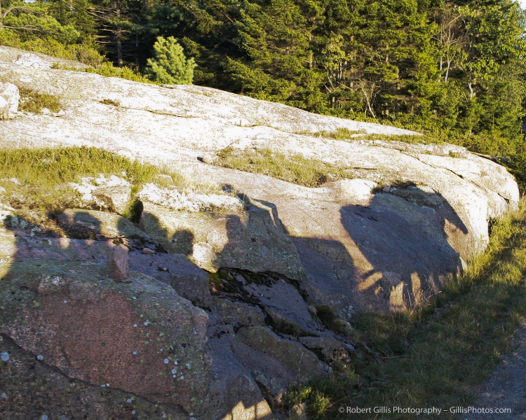 14 Acadia - Shadow of Carriage and Horses - Day Mountain