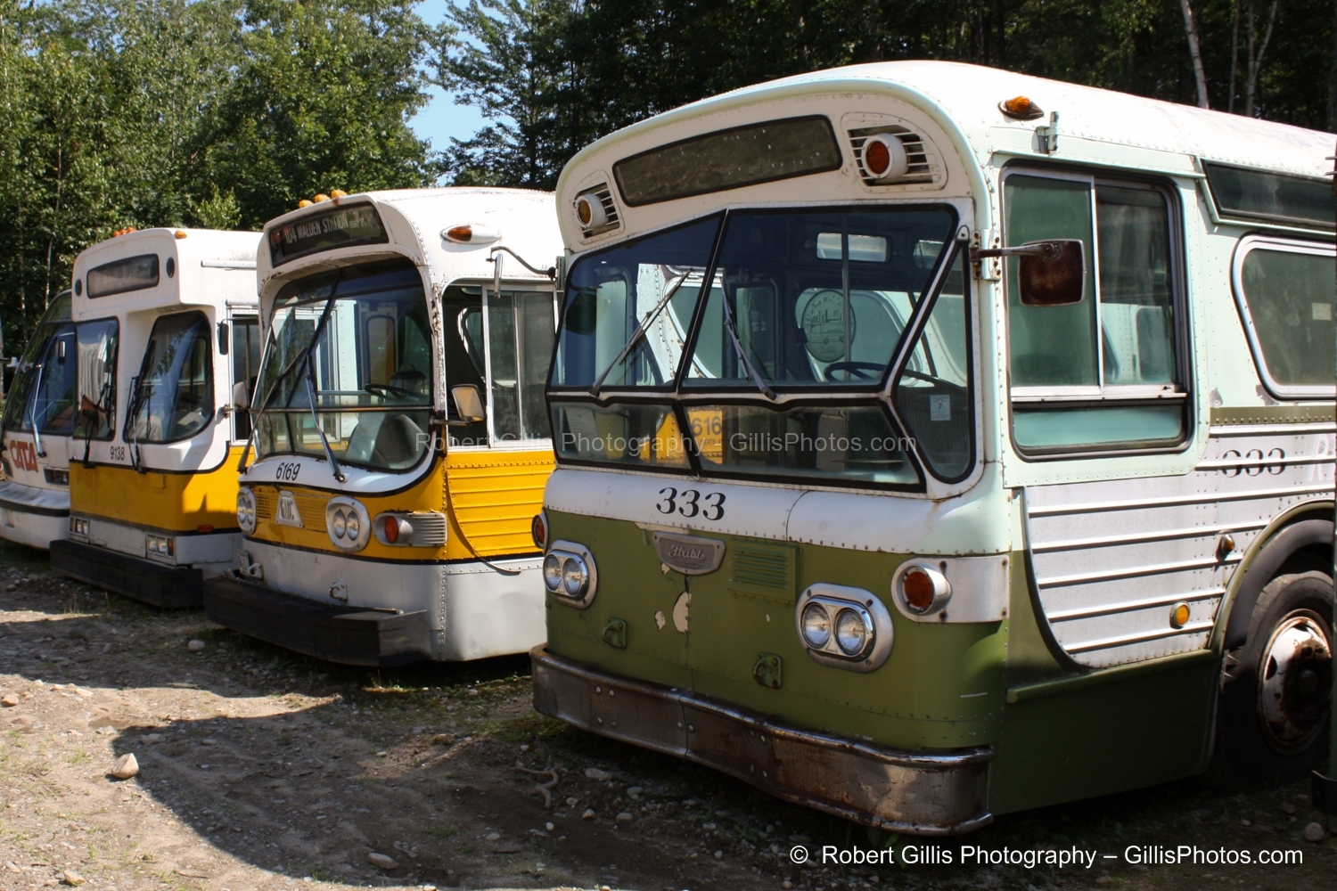 10 Seashore Trolley Museum - Bus collection_
