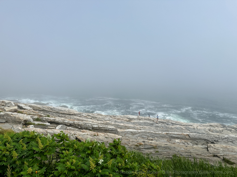 11-Maine-Bristol-Pemaquid-Light-Park-Shore