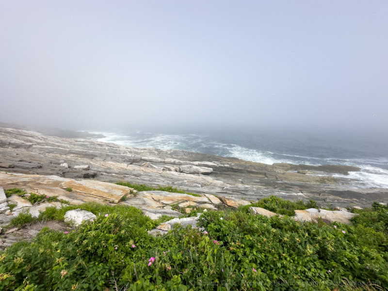 12-Maine-Bristol-Pemaquid-Light-Park-Shore