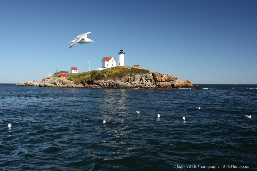 016 - Cape Neddick Nubble Lighthouse
