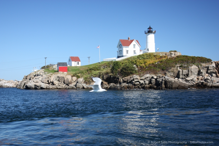 017 - Cape Neddick Nubble Lighthouse