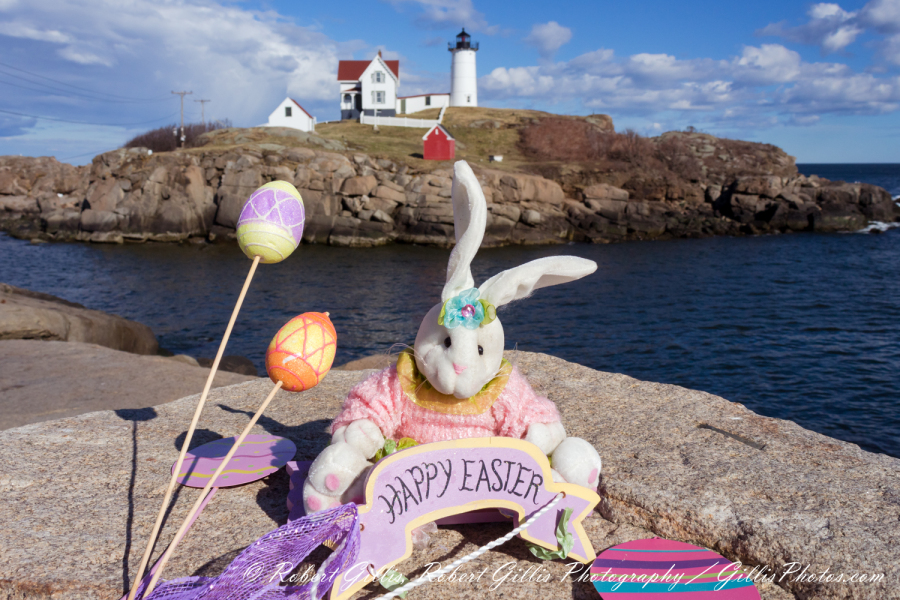 34-Easter-Bunny-At-Nubble-Cape-Neddick-Lighthouse