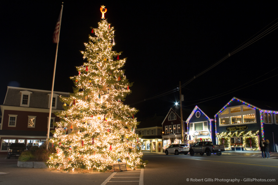 20-Kennebunkport-Christmas-Prelude-Tree