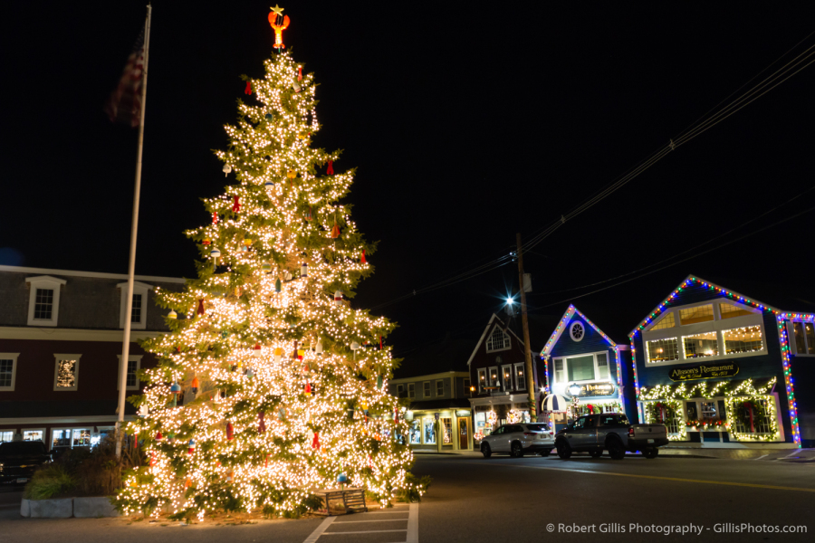 21-Kennebunkport-Christmas-Prelude-Tree