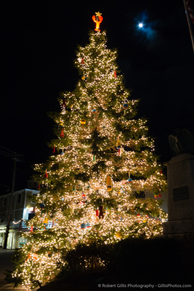23-Kennebunkport-Christmas-Prelude-Tree