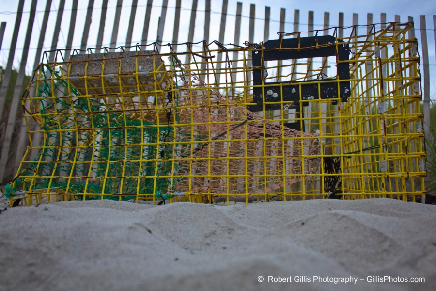42 Ogunquit Beach - Lobster trap
