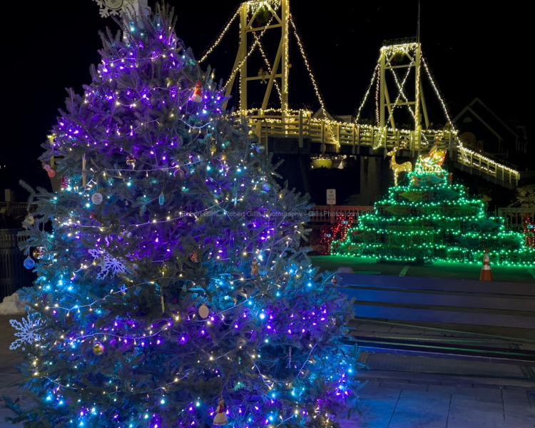 22-Ogunquit-At-Christmas-Perkins-Cove-LED-Lobster-Trap-Tree-Bridge-and-Christmas-Tree