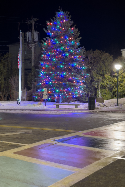 26-Ogunquit-Christmas-Christmas-Tree-On-Shore-Road-Night