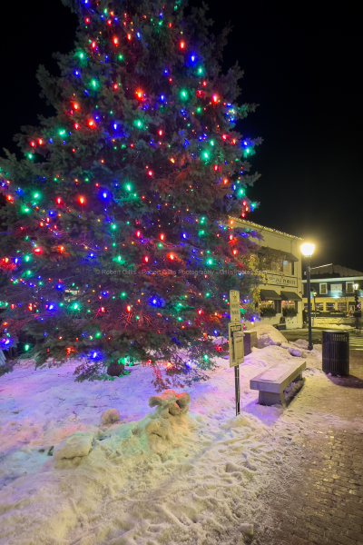 27-Ogunquit-Christmas-Christmas-Tree-On-Shore-Road-and-Front-PorchNight