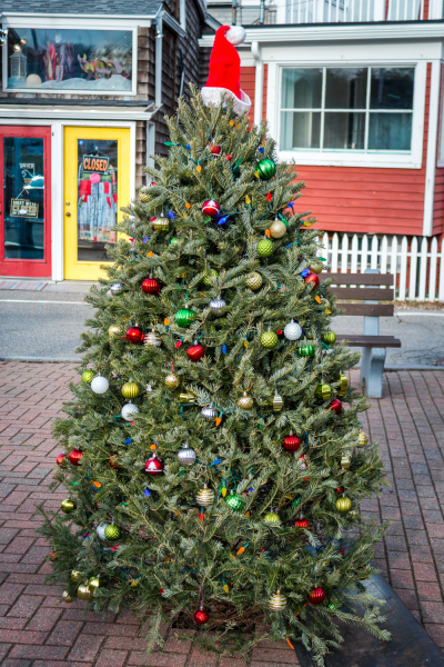 07-Ogunquit-Christmas-Perkins-Cove-Christmas-Tree