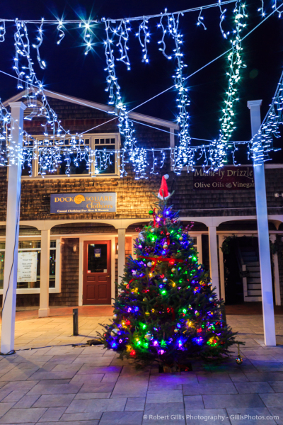 18-Ogunquit-At-Christmas-Perkins-Cove-Tree