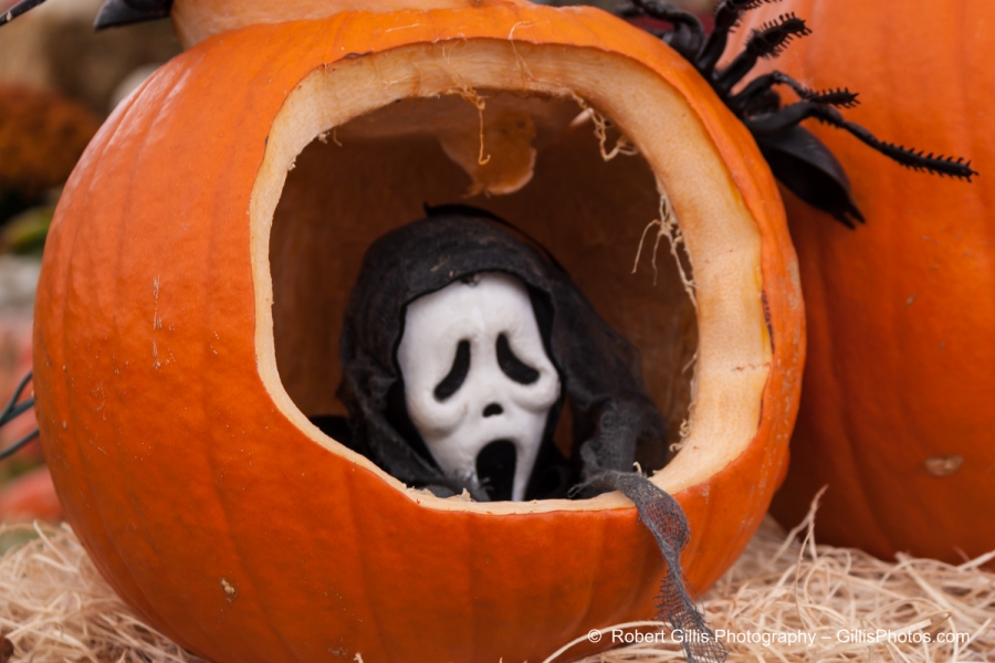 041 Ogunquit Halloween - Anchorage - Scream Pumpkin
