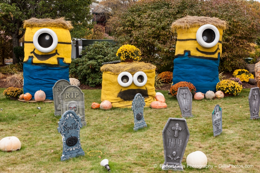 049 Ogunquit Halloween - Meadowmere - Minions