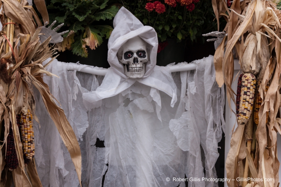 054 Ogunquit Halloween - Anchorage - Ghoul With Cornstalks