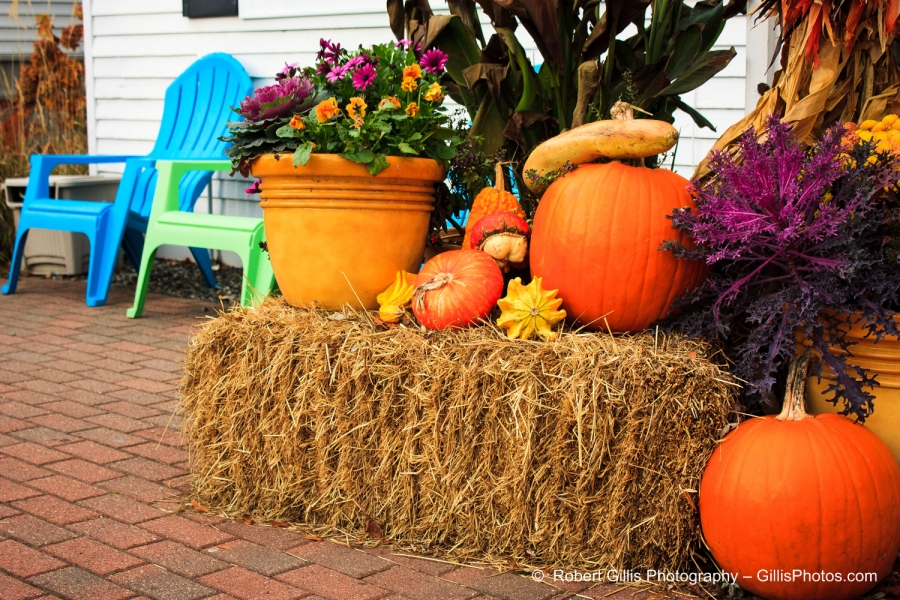 07 Ogunquit Halloween - Shore Road