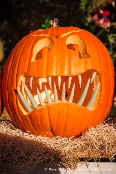 20 Ogunquit Halloween - Anchorage JackOLantern - Day