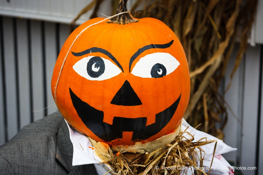 32 Ogunquit Halloween - Five-O Pumpkin Closeup