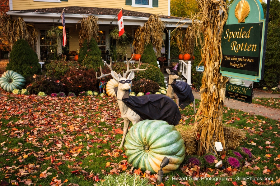 38 Ogunquit Halloween - Spoiled Rotten