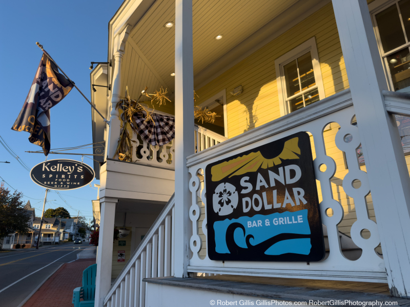 25-York-Sand-Dollar
