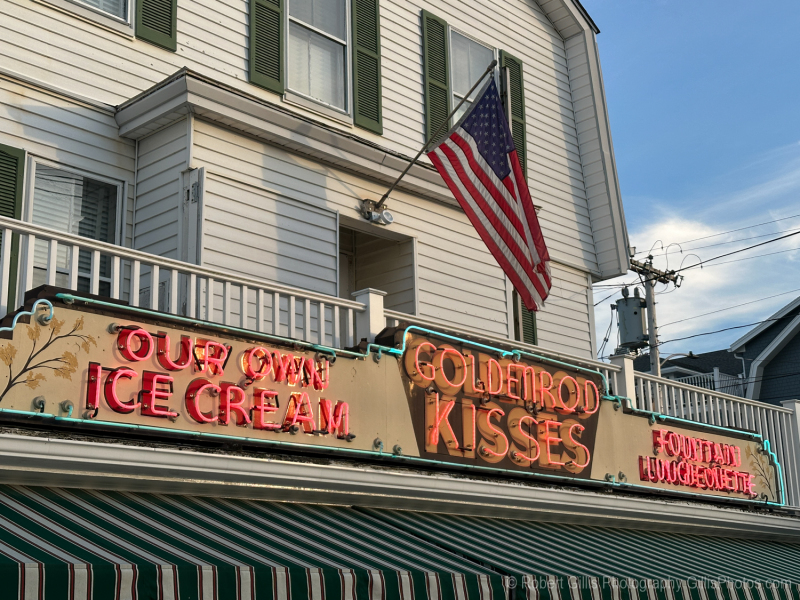 11 Maine - York - Goldenrod