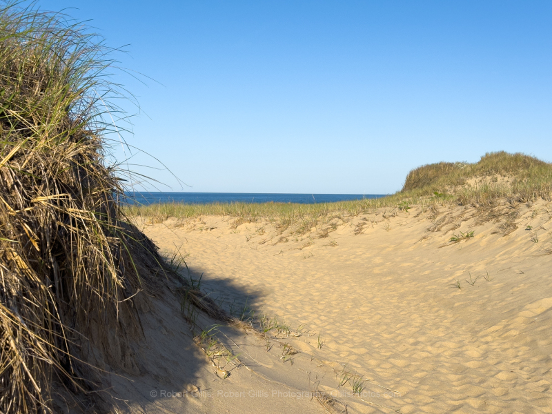 022-Truro-Truro-Head-of-Meadow-Beach-08 022-Truro-Truro-Head-of-Meadow-Beach-08