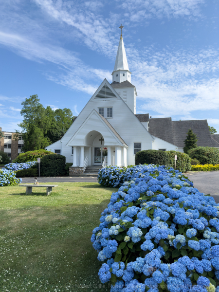 215-iDNG-Cape-Cod-Falmouth-Saint-Patricks-Church-and-Hydrangea 215-iDNG-Cape-Cod-Falmouth-Saint-Patricks-Church-and-Hydrangea