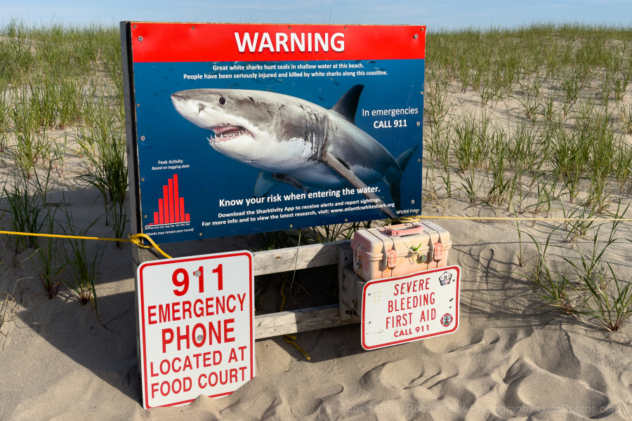 264 Cape Cod - Orleans - Shark Safety Sing and Bleed Kit