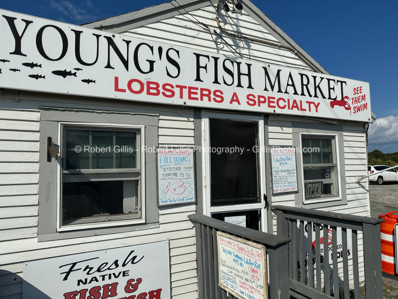 265-Cape-Cod-Orleans-Youngs-Fish-Market