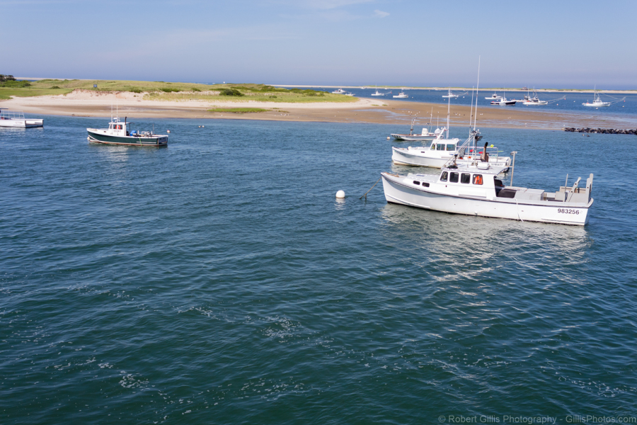 322-Cape-Cod-Chatham-–-Sea-Lions-Pod-View-From-Wharfinger-Fish-Pier.tif