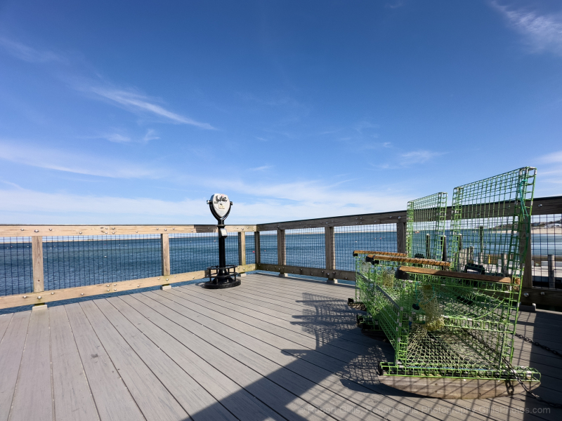 332-Cape-Cod-Chatham-–-Quiet-Wharfinger-Fish-Pier