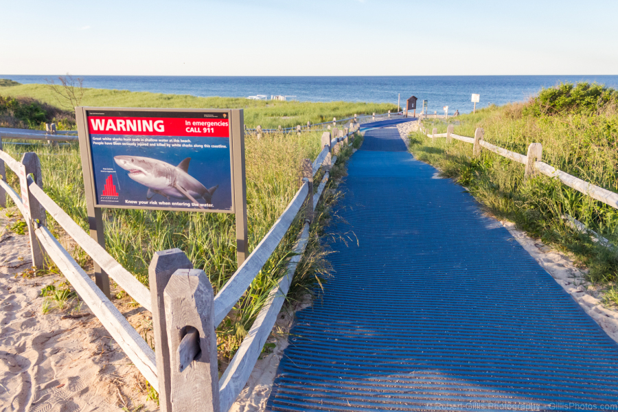 172-Cape-Cod-Eastham-Coast-Guard-Beach-Path-Shark-Sign