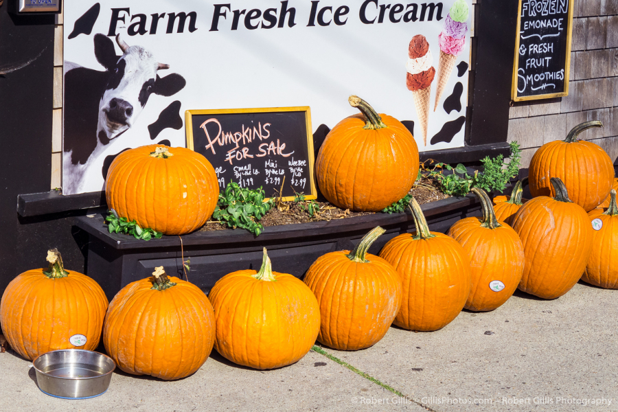 206-Cape-Cod-Falmouth-Woods-Hole-Market-Pumpkins